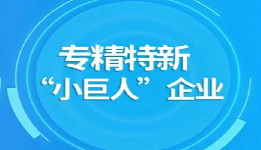 專(zhuān)精特新小巨人